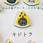 かぶる猫ブローチ[夏・スイカ(黄)ver.](三毛猫・シャム猫・アメショー・キジトラ・キジ白猫)