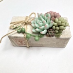 多肉植物　木片寄せ植え　フェイクグリーン　2