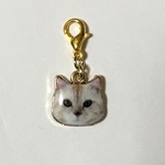 マスクチャーム　お耳がピンクの可愛い猫ちゃん