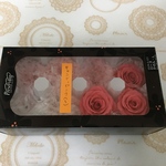 ローズ　かのんＬ：8輪　キャンディピンク　　　大地農園　プリザーブドフラワー　花材　　バラ　薔薇