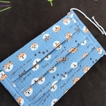 柴犬　夏マスク　水色ver