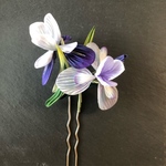 菖蒲(大)