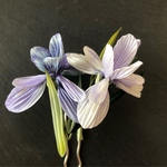 菖蒲