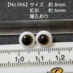 【No.066】グラスアイ(約 8mmサイズ(虹彩 約 6mm/瞳孔あり))