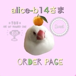  alice-b14さま　専用オーダーページ