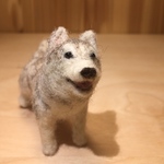フェルト犬　シベリアン・ハスキー　シルバさん　<MW285>