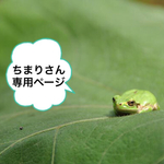 ちまり✩さん専用ページ