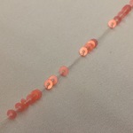 シェルピンク  Rose 3mm オートクチュール