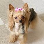 あじさいふぅ小花のバレッタ