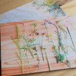 くさばなレター＊野の花