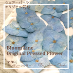 【 紫陽花ーunknown 】２０輪   アンティークカラー・ブルー　自家製押し花　レジン・キャンドル封入・押し花アート