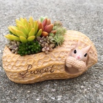 ピーナッツとりすちゃんと多肉植物