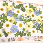 ♡new♡  ♡可愛い押し花セット♡ ♡たくさん入って使いやすい押し花セット♡