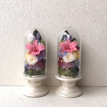 【sesame様専用】プリザーブドフラワーの仏花☆高さ18cmガラスケース入り小菊デンファレスターチス 白黄色ピンク仏花お供えお悔みに 水換え不要