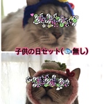 子供の日セット.かぶと.端午の節句.5月.ニット帽.猫.被り物.コスプレ.毛糸.ハンドメイド