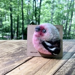 鳥ブローチ　ベニマシコさん(オス)