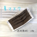 [送料無料]夏マスク　1枚　ポケット付き　ブラウン