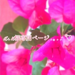 a.n様専用ページ.｡.:*♡