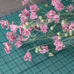 SPハッピーピンク デルフィニウムのDry Flower（3本組）