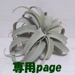 h様専用ページ