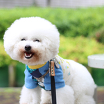犬服　爽やか小鳥のTシャツ