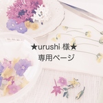 ★urushi様★専用ページ