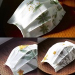 《夏マスク》◎柄が選べる◎Botanical painting　コットンプリーツマスク S、Mの2サイズ　ホワイト　裏はガーゼポケット