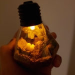 森に隠れたきのこの標本☆手のひらサイズのジオラマ電球ランプ