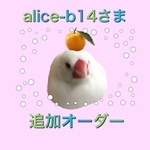 alice-b14さま　追加オーダーページ