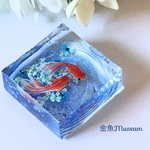波紋の金魚～ネモフィラ（正方形）