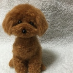羊毛フェルト　トイプードル