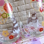 和柄✖️シュナウザーペアグラス🥂