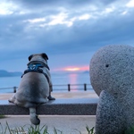 M様　オーダー分