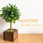 soyo1218様専用ページ