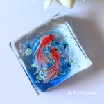 波紋の金魚～ネモフィラ（正方形）