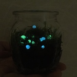 コケリウム 〈ホタル〉