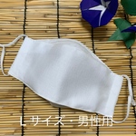 夏用マスク　舟形マスク　白　Ｌサイズ　男性用　ノーズワイヤー入り　フィルターポケット付き　西村大臣風マスク