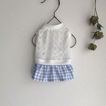 【再販】犬服 *C & S ギンガムチェックワンピース*オフ×サックス