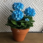 紫陽花  14  粘土の花鉢  ミニチュア