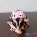 ウサギの着ぐるみ