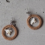 サンゴとわっかのピアス/イヤリング