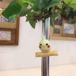 インコマグネット
