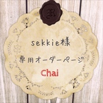 sekkie様専用オーダー分 スマホケース 