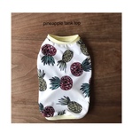 🍍パイナップルタンク