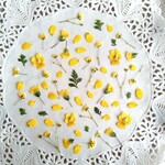 押し花素材　No626　イエローの小花のセット