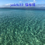 yoichi15 様オーダー専用