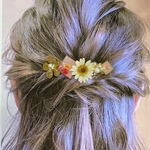 ノースポール押し花とピンクフラワーのヘアバレッタ