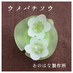 ウメバチソウの2WAYブローチ