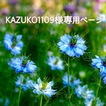 KAZUKO1109様専用ページ