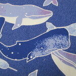 ☆給食ナフキン補充用☆　海の生き物・くじら　!(^^)!